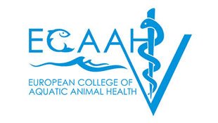 ECAAH-college-logo