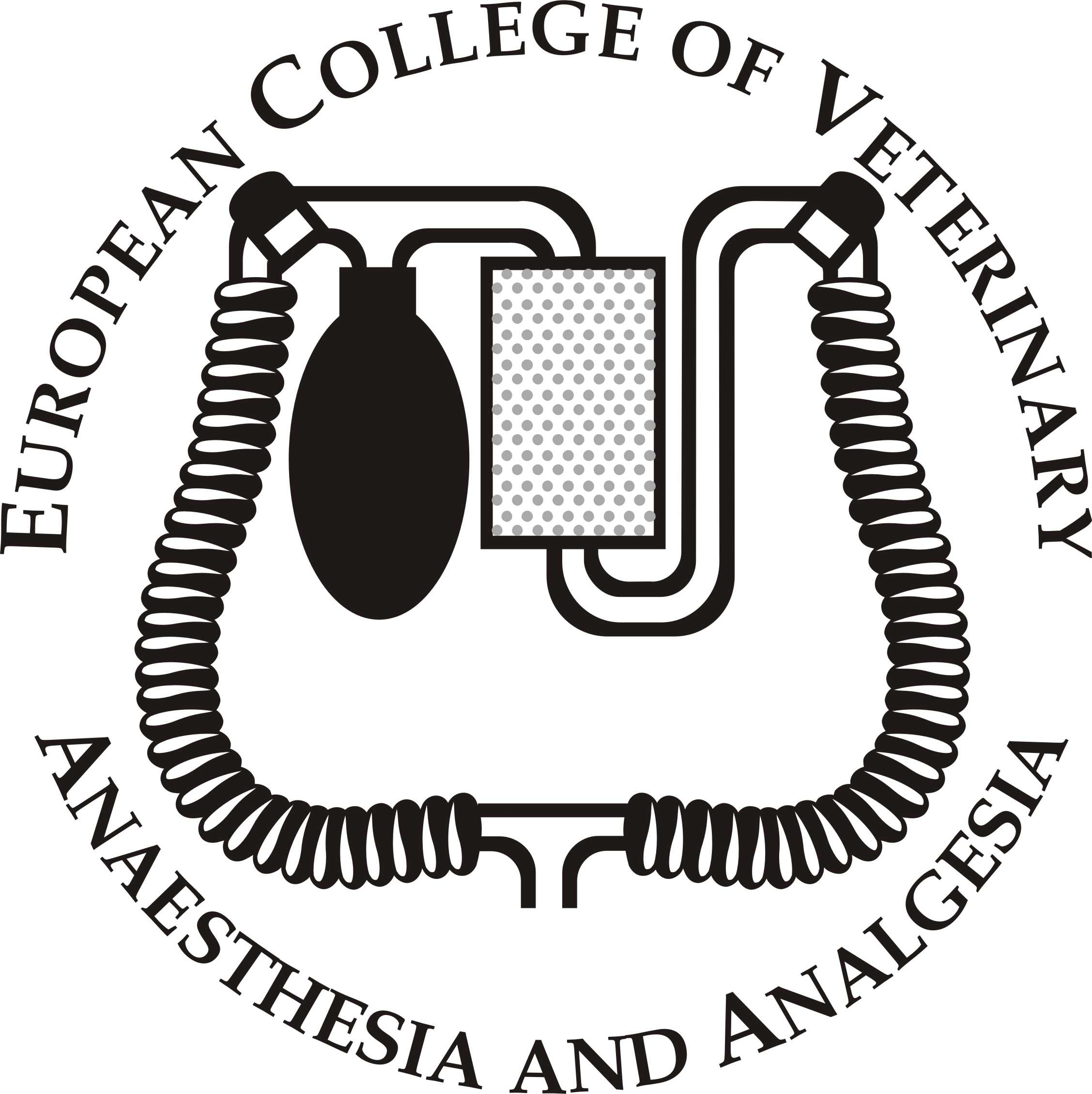 ECVAA logo