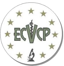 ECVCP logo