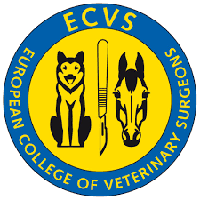 ECVS