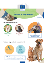Welfare law Cats and dogs